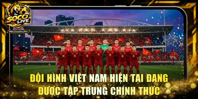 Đội hình Việt Nam hiện tại đang được tập trung chính thức