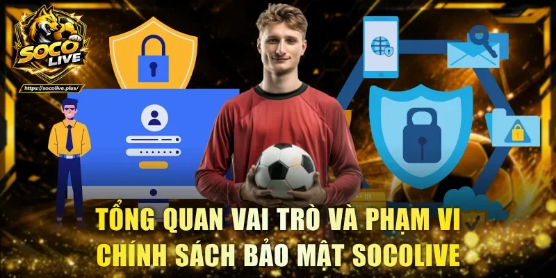 Tổng quan vai trò và phạm vi chính sách bảo mật Socolive